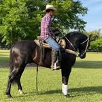 Daniel Cantero - @daniel.cantero.7731 - Instagram