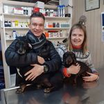 Daniel Canto Veterinario - @cantoveterinario - Instagram