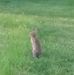 Daniel Canty - Facebook