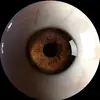lebronlover623 - @cape.daniel - TikTok
