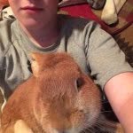 Daniel Capelle - @wolfboyzz1 - Instagram