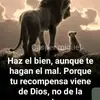 daniel - @danielcapelleti - TikTok