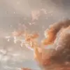Daniela Capelle - @danielacapelle - TikTok