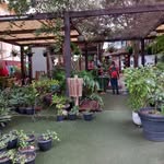 Daniel Capenda Cajengo - @cajengodanielcapenda - Instagram