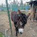 Daniel Capetillo - Facebook