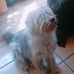 Daniel Capetillo - Facebook