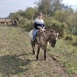 Daniel Caplan - @danielcaplan64 - Instagram
