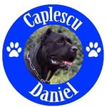 Daniel Caplescu - @caplescudaniel - Instagram