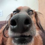 Daniel Capone - @the_boi_capone - Instagram