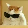 danielcaporal571 - @danielcaporal571 - TikTok