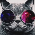 Daniel Orlando capote - @dani.elcapote - Instagram