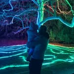 Daniel Capp - @d.capp93 - Instagram