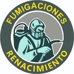 Daniel Cappello - @fumigaciones_renacimiento_fsa - Instagram