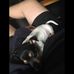 Daniel Cappello - Facebook