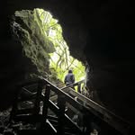 Daniel Capper - @danielc423 - Instagram