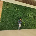 Daniel Capra - @daniel_capra528 - Instagram