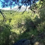 Daniel Capristo - @daniel.capristo.37 - Instagram