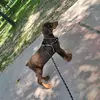 Daniel Cardenas - @danielcardenas748 - TikTok