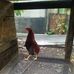 Daniel Cardenal - Facebook