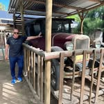 Daniel Cardinali - @danieljo01 - Instagram