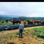 Dani cardosa_05 - @daniel_cardosa_05 - Instagram