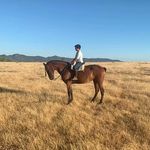Daniel cardosa - @danicaballista12 - Instagram