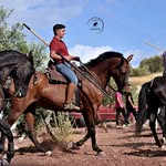 Daniel cardosa caballero - @dani_caballista - Instagram