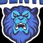 Daniel Carini - @dfctdental - Instagram