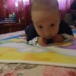 Daniel Carlan - @carlandaniel - Instagram