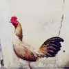 Daniel Carles - @daniel.carles - TikTok