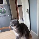 Daniel Carlier - @daniel.carlier.752 - Instagram