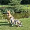 Daniel Carlier - @daniel.carlier - TikTok
