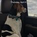 Dan Carlstrom - Facebook