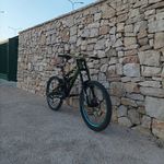 Daniel Carlucci - @daniel_carlucci_596 - Instagram