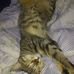 Daniel Carman - Facebook