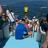 DANIEL CARMEL - @daniel.carmel2 - TikTok