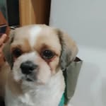 Daniel carmelo - @danielcarmelo9 - Instagram