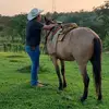 HDCARRERA - @daniel_carrera98 - TikTok