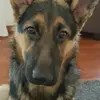 Daniele Caserta - @daniele.caserta3 - TikTok