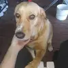 Daniel Castle - @daniel.castle21 - TikTok