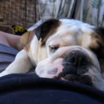 Daniel Castle - @danielcastle346 - Instagram