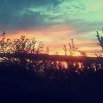 Daniel Catalan - @daniel.catalan.18294 - Instagram