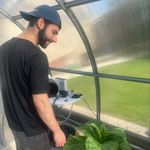 Daniel Catalano - @dcatalano31 - Instagram