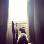 Daniel.Lin - @danielcat.lin - Instagram