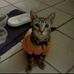 Daniel Cendejas - Facebook