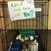 Daniel Overmeyer Veterinary Center - Facebook