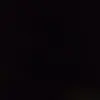DuhChihuahuas84 - @danielcenters - TikTok