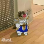 Daniel Cerdeira - @daniel.cerdeira569 - Instagram