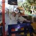 Daniel Cereceres - Facebook
