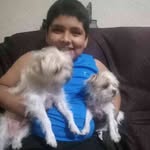 Daniel Cermeño - @cermeno1229 - Instagram